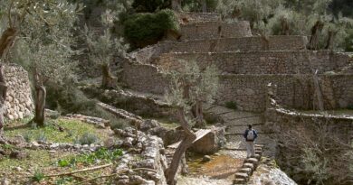 Setmana Europea del Patrimoni de Pedra en Sec amb activitats formatives i de voluntariat