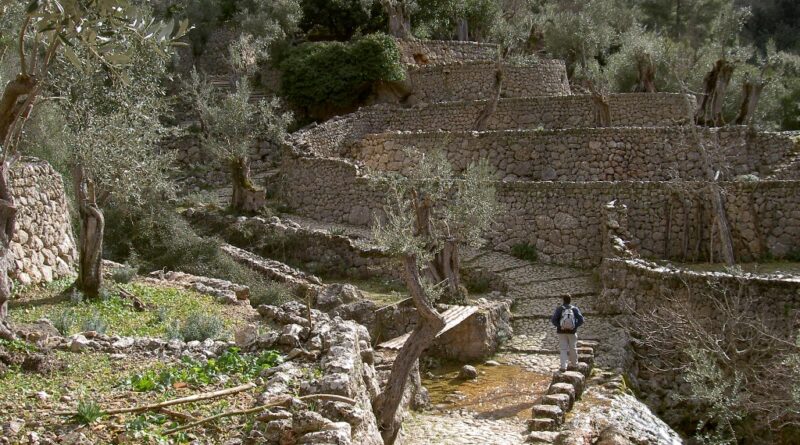 Setmana Europea del Patrimoni de Pedra en Sec amb activitats formatives i de voluntariat