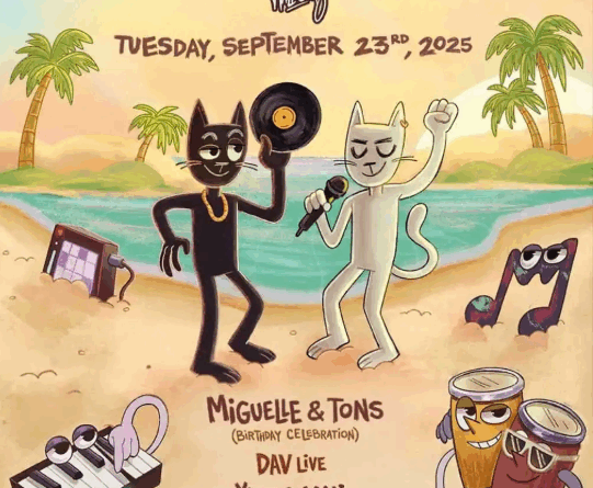 Two and a Half Cats fan vibrar Beachouse Ibiza en una nit d’aniversari i house davant la mar