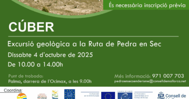 Excursió geològica per la Ruta de Pedra en Sec a Cúber