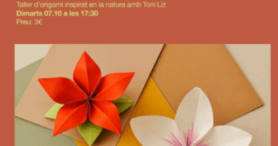 Taller de flors d’origami amb Toni Liz a la Fundació Numa