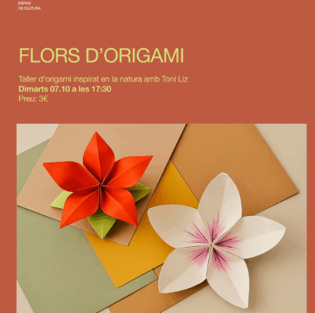 Taller de flors d’origami amb Toni Liz a la Fundació Numa
