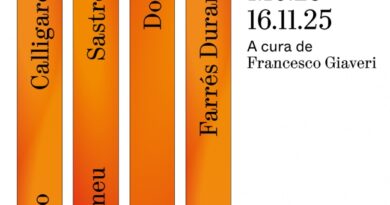 “Biblioteques en flames” reflexiona sobre les biblioteques com a espais vius de la societat