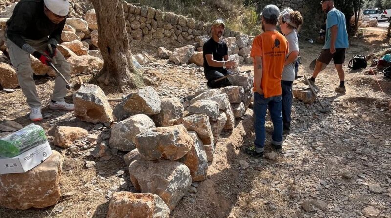 La pedra en sec uneix Mallorca i el Japó a Deià en un taller internacional