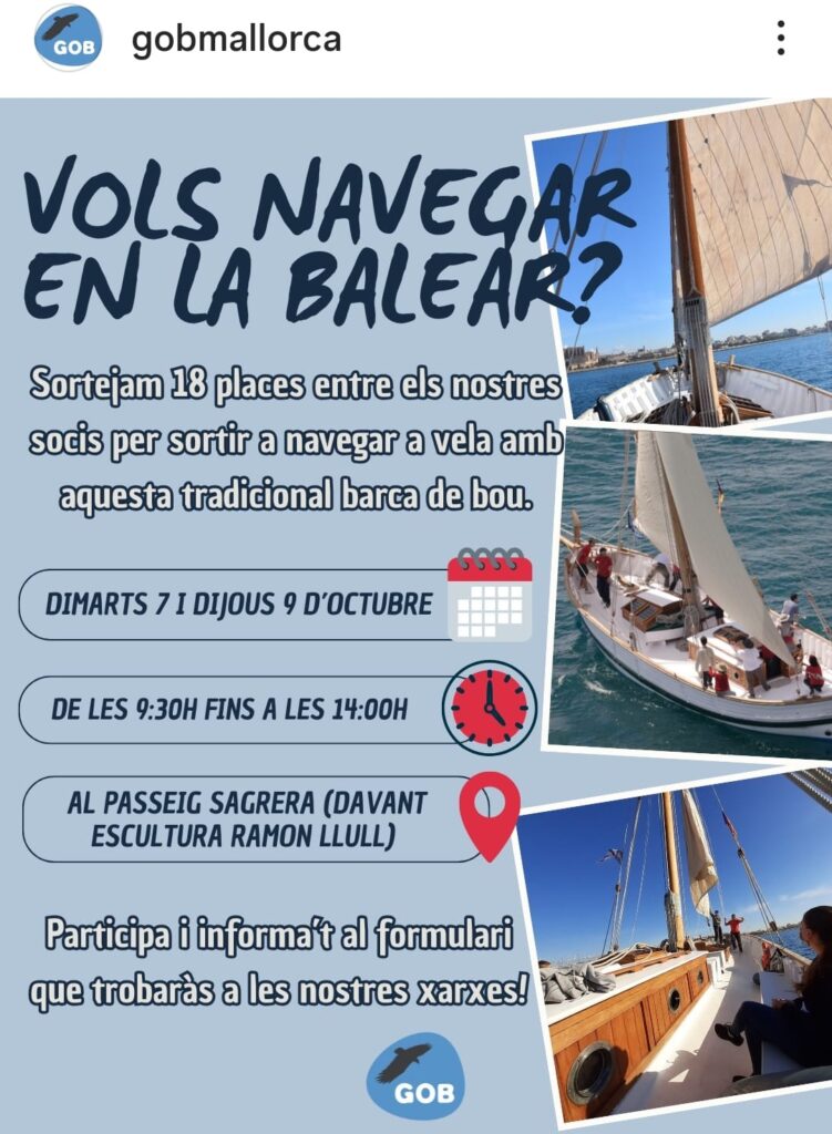 El GOB sorteja 18 places per navegar amb la balear