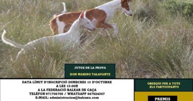 Santa Eugènia acull el torneig de ca eivissenc vs cans de conills