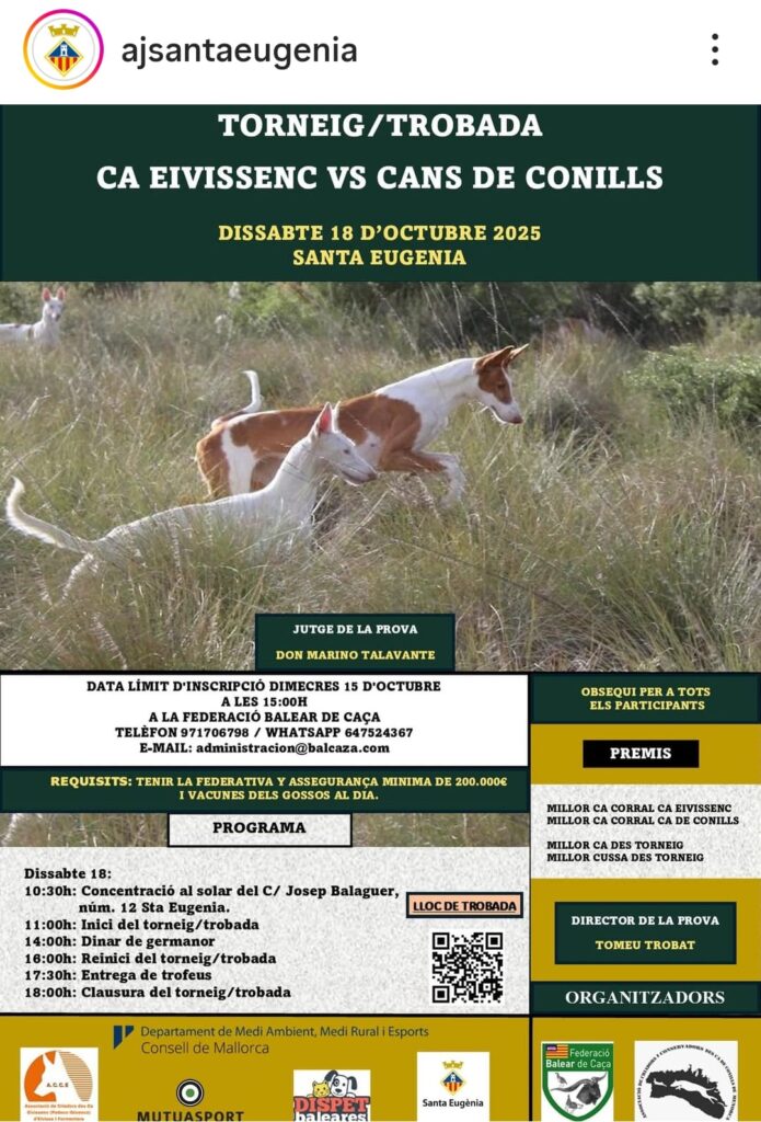 Santa Eugènia acull el torneig de ca eivissenc vs cans de conills