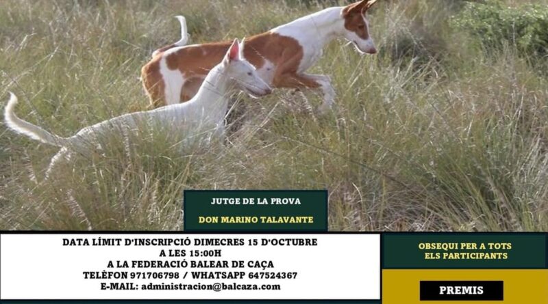 Santa Eugènia acull el torneig de ca eivissenc vs cans de conills