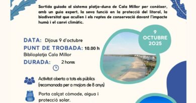 Sortida guiada per descobrir el sistema platja-duna de Cala Millor