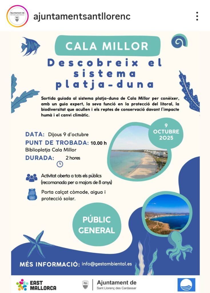 Sortida guiada per descobrir el sistema platja-duna de Cala Millor