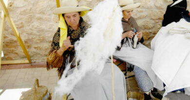 Fira Rural de Fruitera 2025