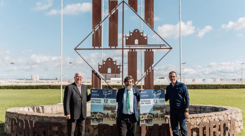 El Consell celebra una jornada esportiva amb 800 participants a Son Pardo pel Dia de la Gent Gran