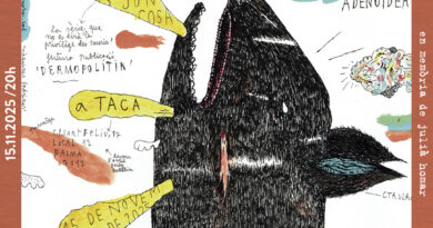 Exposició «ROAR. Disparant a la cadira Kàrmica» de Lluís Juncosa