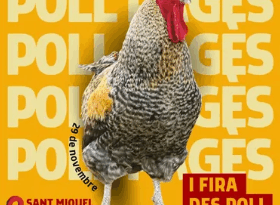 I Fira des Poll Pagès a Sant Miquel de Balansat Sant Joan de Labritja impulsa la primera edició d’una fira dedicada al poll pagès, amb producció local i gastronomia tradicional. Sant Miquel de Balansat, 29 de novembre de 2025. El municipi de Sant Joan acollirà la I Fira des Poll Pagès, un nou esdeveniment que vol posar en valor aquesta raça autòctona i el seu paper en la pagesia pitiüsa. La jornada reunirà criadors, productors i públic familiar en un espai on la cultura agrícola i la tradició gastronòmica seran protagonistes. Les inscripcions per participar-hi estan obertes fins al 25 de novembre, i les bases es poden consultar a la web oficial de l’Ajuntament. La fira compta amb la col·laboració de diverses entitats locals vinculades al camp i a la preservació de races tradicionals, i vol convertir-se en una cita anual de referència per als amants del patrimoni rural. 📅 Data: 29 de novembre de 2025 📍 Lloc: Sant Miquel de Balansat 📝 Inscripcions fins al 25 de novembre: www.santjoandelabritja.com 🐓 Organitza: Ajuntament de Sant Joan de Labritja, entitats i col·laboradors locals