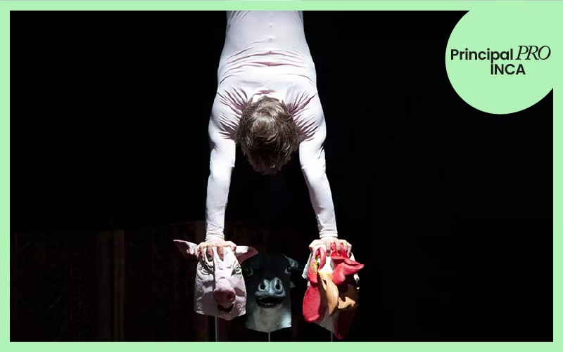 El Teatre Principal d’Inca acull un taller-conversa amb la companyia Animal Religion