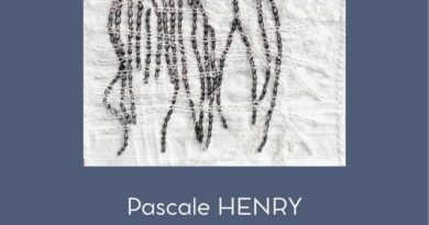 «Línea», exposició de Pascale Henry a Sant Agustí