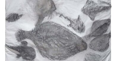 El MACE organiza visitas guiadas a la exposición “El present permanent” de Miquel Barceló