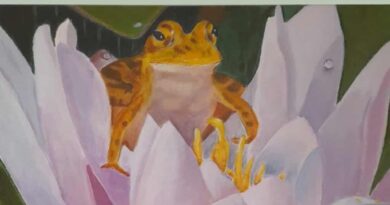 La Sala d’Exposicions de Santa Eulària presenta “Ses Carlines”, una mostra femenina i plural