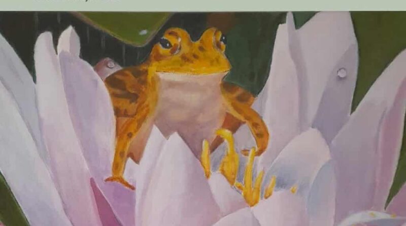 La Sala d’Exposicions de Santa Eulària presenta “Ses Carlines”, una mostra femenina i plural