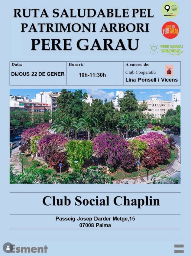 Ruta saludable pel patrimoni arbori de Pere Garau