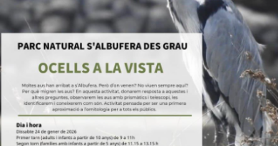 Ocells a la vista: una iniciació a l’ornitologia al Parc Natural de s’Albufera des Grau
