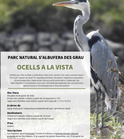 Ocells a la vista: una iniciació a l’ornitologia al Parc Natural de s’Albufera des Grau