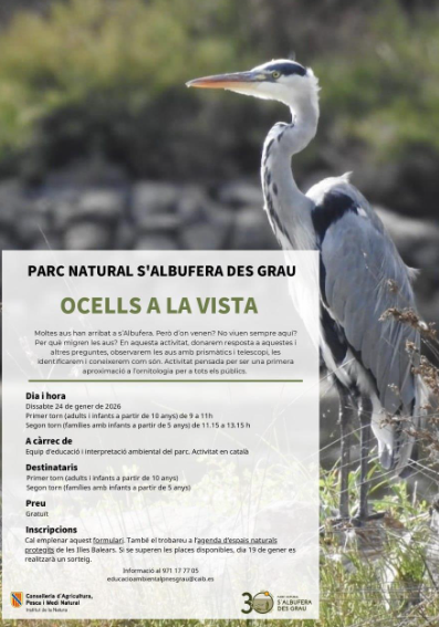 Ocells a la vista: una iniciació a l’ornitologia al Parc Natural de s’Albufera des Grau