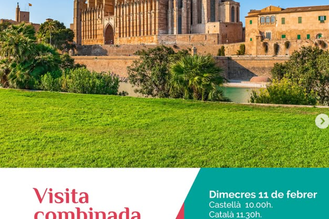 Llegendes de la Seu i el Museu d’Art Sacre: una visita guiada entre història i tradició