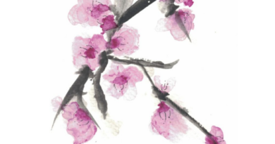 Son Servera celebra la XI Fira de la Flor d’Ametler amb tradició i patrimoni rural