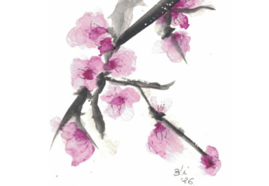 Son Servera celebra la XI Fira de la Flor d’Ametler amb tradició i patrimoni rural