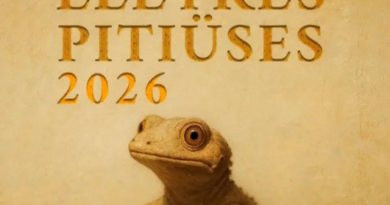 Els Premis Letras Pitiusas celebren deu anys posant la literatura al centre de la vida cultural pitiüsa