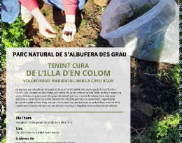 Voluntariat ambiental a l’Illa d’en Colom per tenir cura del patrimoni natural