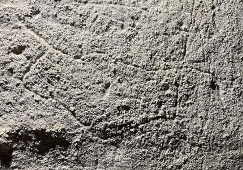 Una excursió arqueològica permet descobrir l’Hipogeu de Santa Anna i el poblat talaiòtic de Cornia Nou