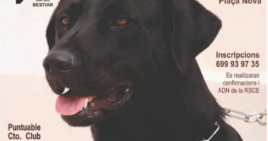 Alaior acull el V Concurs Nacional Menorca “Ca de Bestiar”