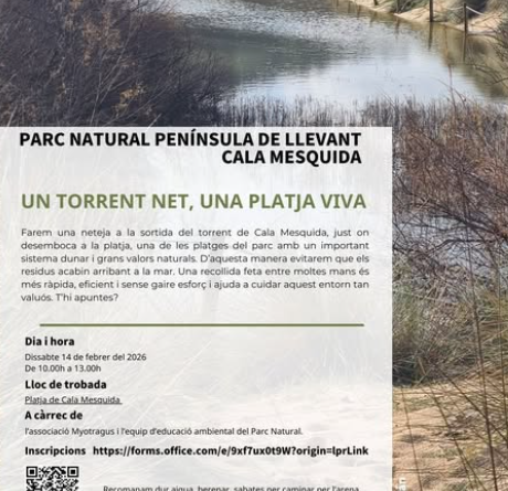 Jornada de neteja ambiental a Cala Mesquida per protegir el litoral del Parc Natural de Llevant
