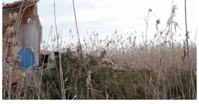 Temps i Feixes, de Daniel Castilla: una mirada fotogràfica al paisatge més fràgil d’Eivissa
