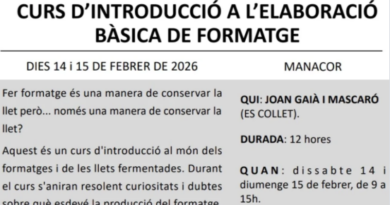 Curs d’introducció a l’elaboració bàsica de formatge a Manacor