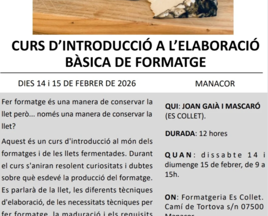 Curs d’introducció a l’elaboració bàsica de formatge a Manacor