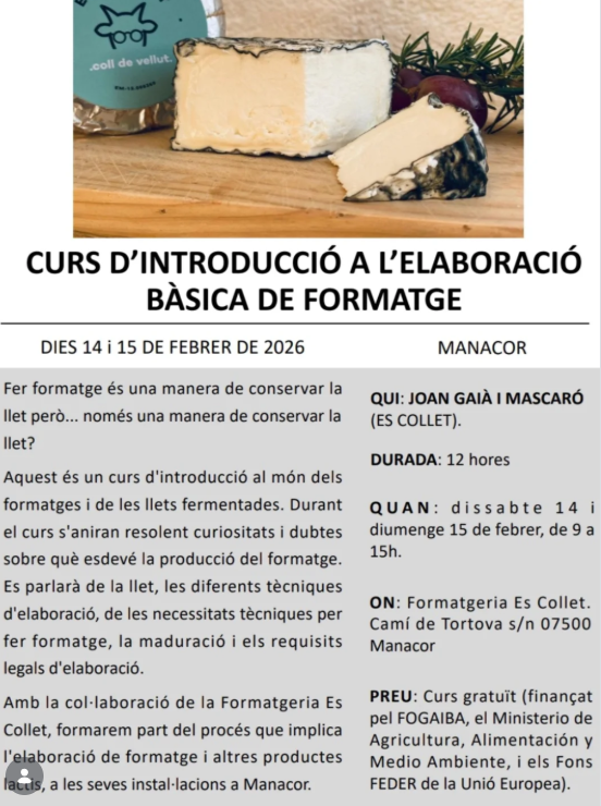 Curs d’introducció a l’elaboració bàsica de formatge a Manacor