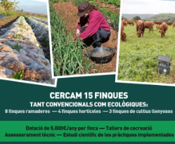 Taller d’innovació agrària del projecte GOV4ALL a Alaior