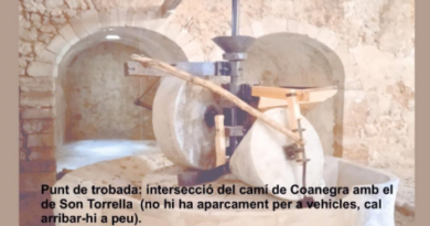 Visita guiada a la tafona de Son Torrella