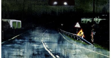 El MACE presenta FOCUS VIII amb William Mackinnon i el seu univers emocional inspirat en Eivissa