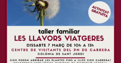 Taller familiar “Les llavors viatgeres” al Centre d’Interpretació de Cabrera