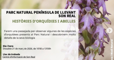 El Parc Natural de la Península de Llevant organitza una passejada per descobrir les orquídies i les abelles de Son Real