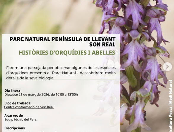 El Parc Natural de la Península de Llevant organitza una passejada per descobrir les orquídies i les abelles de Son Real