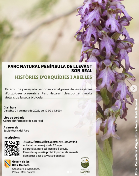 El Parc Natural de la Península de Llevant organitza una passejada per descobrir les orquídies i les abelles de Son Real
