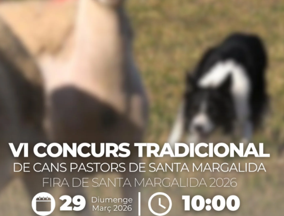 Santa Margalida acull el VI Concurs tradicional de cans pastors dins la seva fira