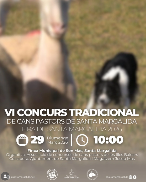 Santa Margalida acull el VI Concurs tradicional de cans pastors dins la seva fira
