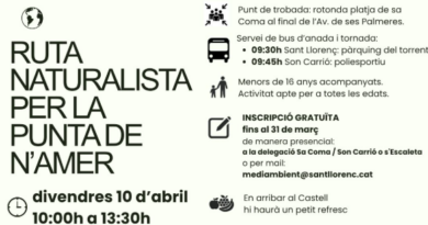 Ruta naturalista a la Punta de n’Amer per descobrir natura i patrimoni en família