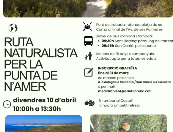 Ruta naturalista a la Punta de n’Amer per descobrir natura i patrimoni en família